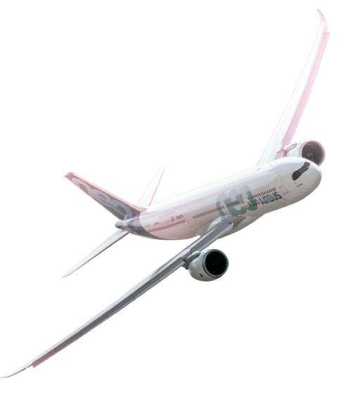 aviao 500×574 aviao 500x574